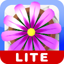 Icon_lite_rounded