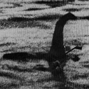nessy