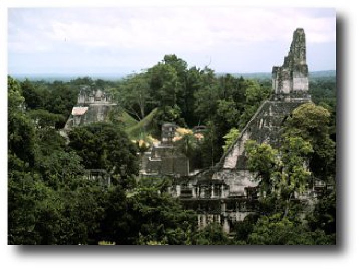 Exploring the C++ Unit Testing Framework Jungle