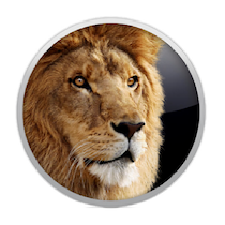 Quick Notes On Lion
