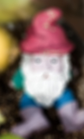 gnome